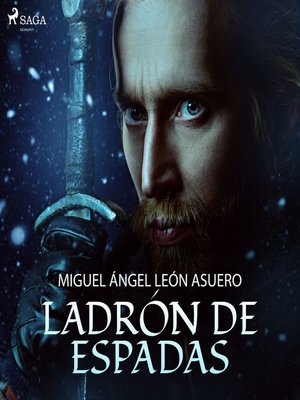 cover image of Ladrón de espadas
